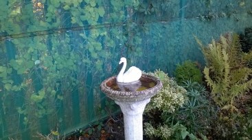 wp_20161119_09_14_35_pro