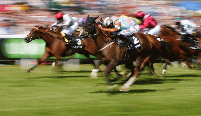 horse race