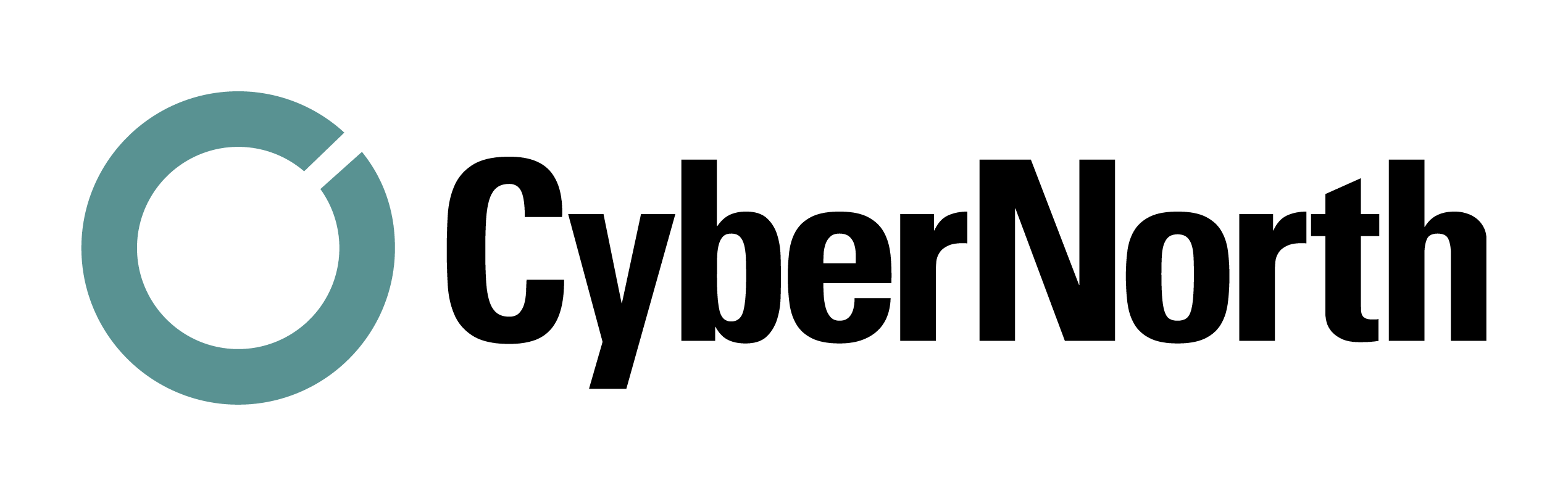 cybernorth_teal